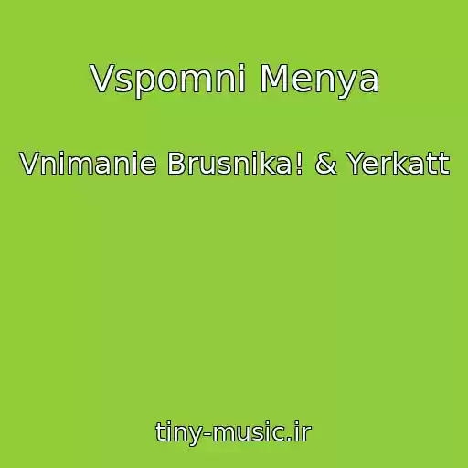 کاور آهنگ Vspomni Menya از Vnimanie Brusnika! & Yerkatt