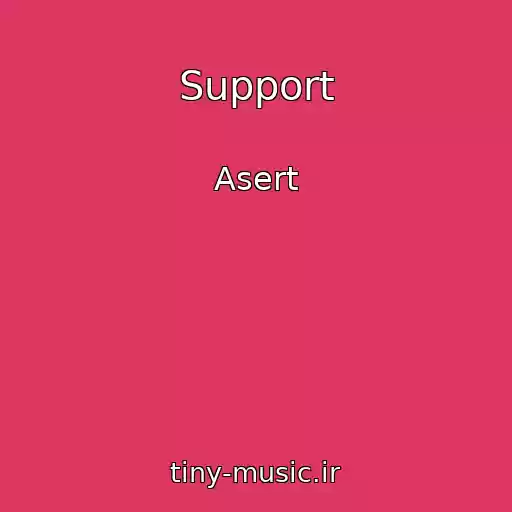 کاور آهنگ Support از Asert