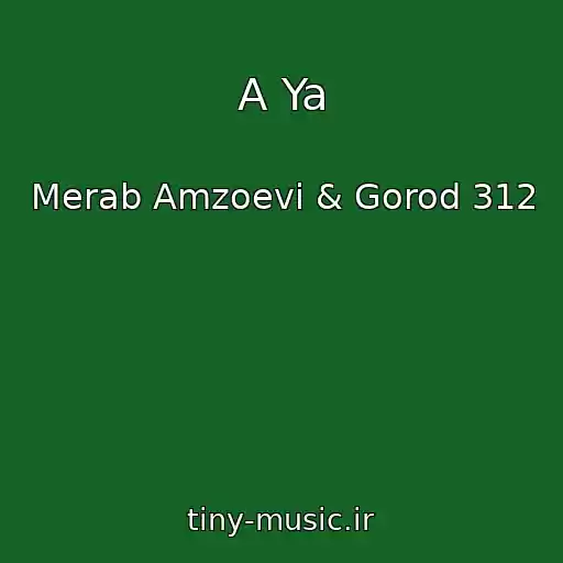 کاور آهنگ A Ya از Merab Amzoevi & Gorod 312