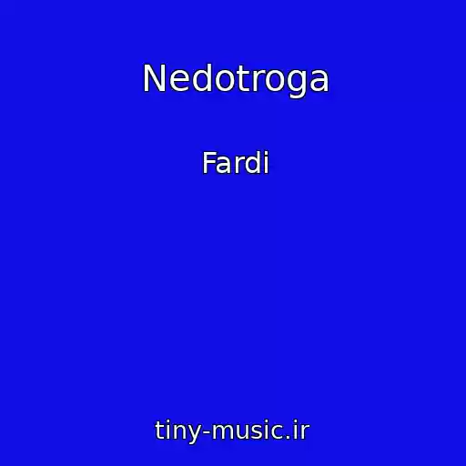 کاور آهنگ Nedotroga از Fardi
