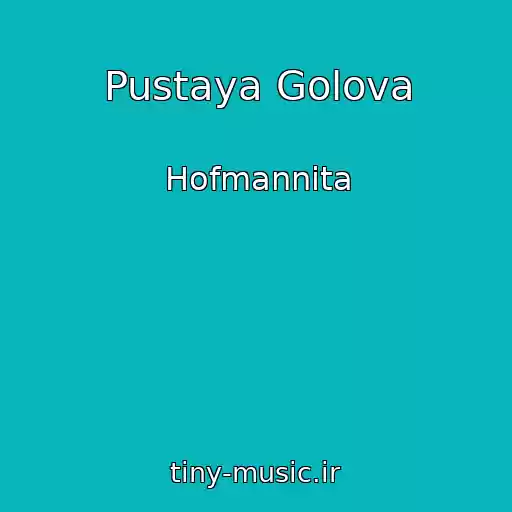 کاور آهنگ Pustaya Golova از Hofmannita