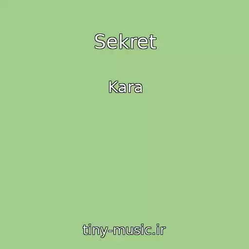 کاور آهنگ Sekret از Kara