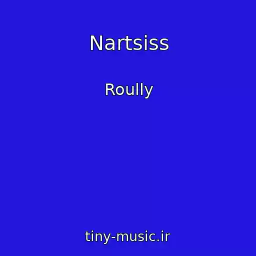 کاور آهنگ Nartsiss از Roully
