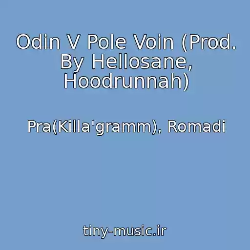 کاور آهنگ Odin V Pole Voin (Prod. By Hellosane, Hoodrunnah) از Pra(Killa'gramm), Romadi