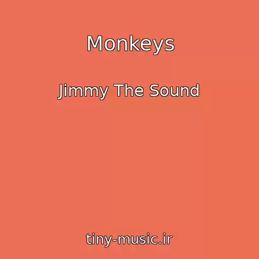 کاور آهنگ Monkeys از Jimmy The Sound