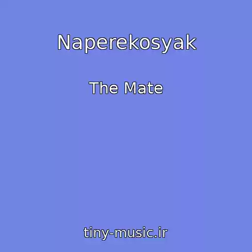 کاور آهنگ Naperekosyak از The Mate