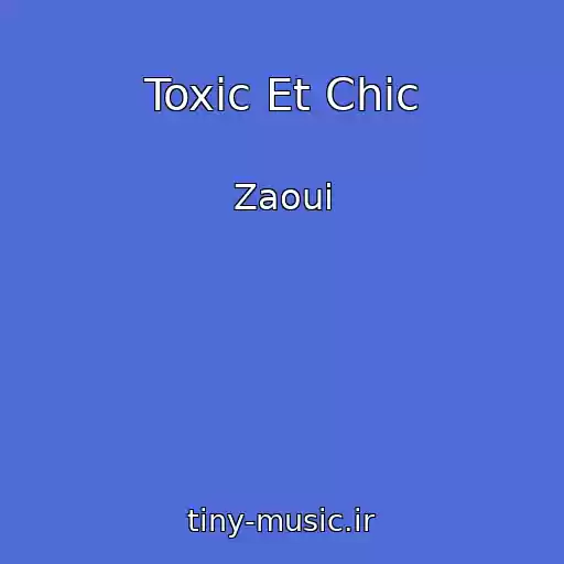 کاور آهنگ Toxic Et Chic از Zaoui