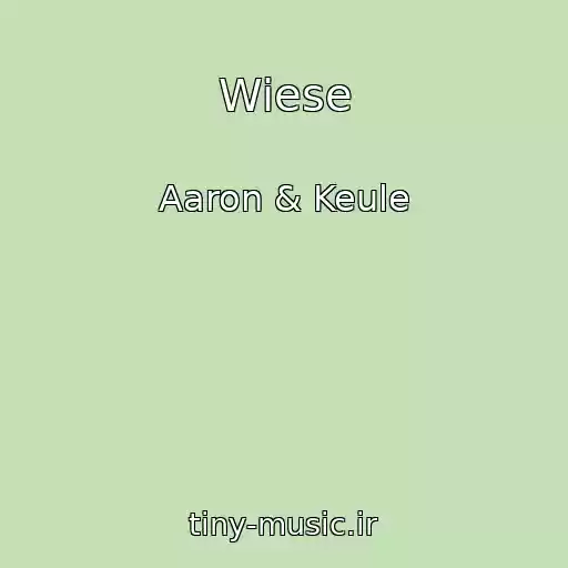 کاور آهنگ Wiese از Aaron & Keule
