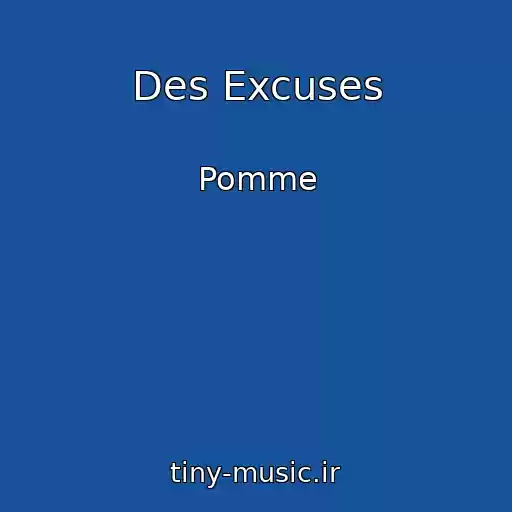 کاور آهنگ Des Excuses از Pomme