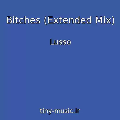 کاور آهنگ Bitches (Extended Mix) از Lusso