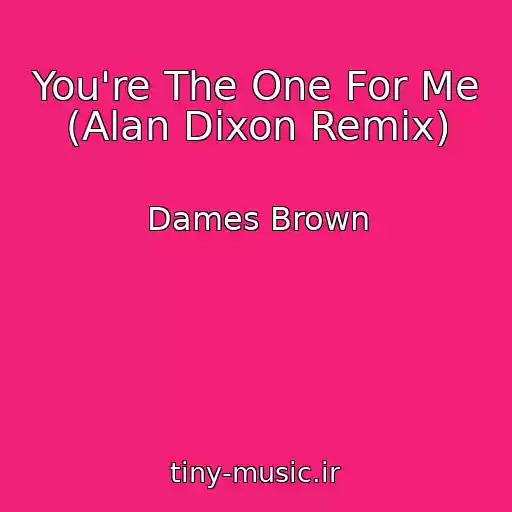 کاور آهنگ You're The One For Me (Alan Dixon Remix) از Dames Brown