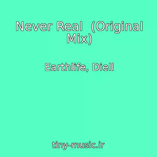 کاور آهنگ Never Real  (Original Mix) از Earthlife, Diell