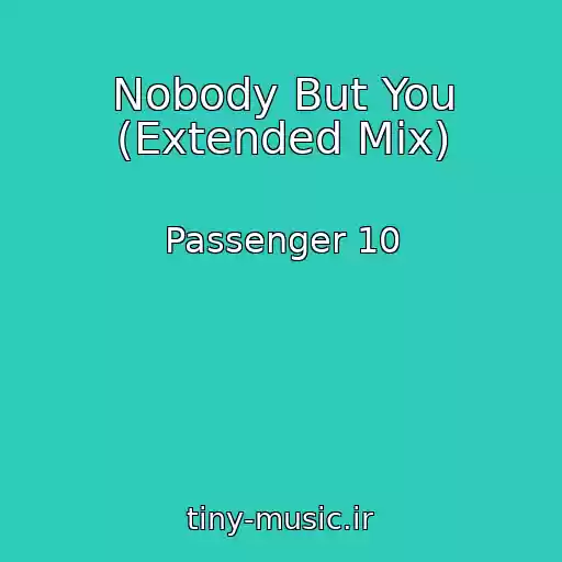 کاور آهنگ Nobody But You (Extended Mix) از Passenger 10