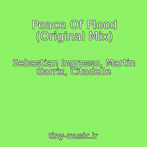 کاور آهنگ Peace Of Flood (Original Mix) از Sebastian Ingrosso, Martin Garrix, Citadelle
