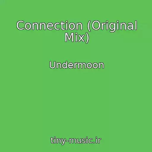 کاور آهنگ Connection (Original Mix) از Undermoon