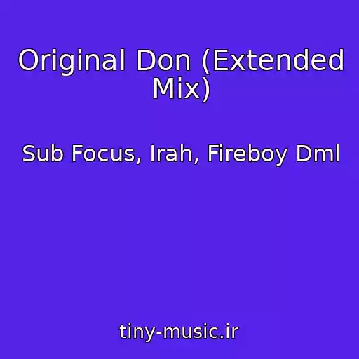 کاور آهنگ Original Don (Extended Mix) از Sub Focus, Irah, Fireboy Dml
