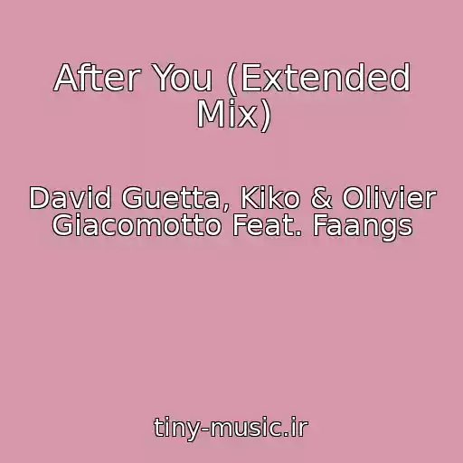 کاور آهنگ After You (Extended Mix) از David Guetta, Kiko & Olivier Giacomotto Feat. Faangs