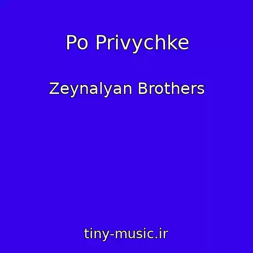 کاور آهنگ Po Privychke از Zeynalyan Brothers
