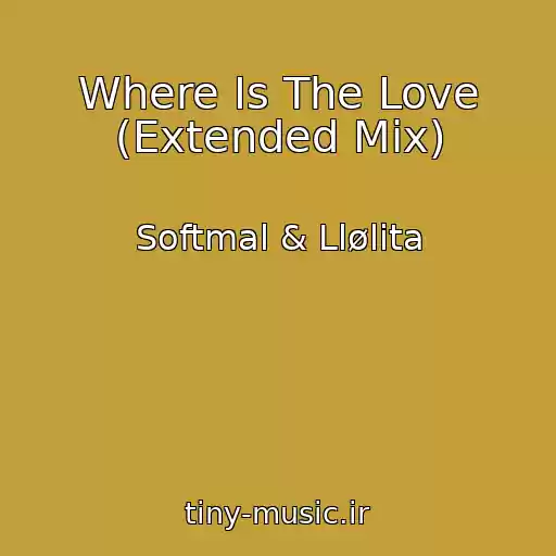 کاور آهنگ Where Is The Love (Extended Mix) از Softmal & Llølita