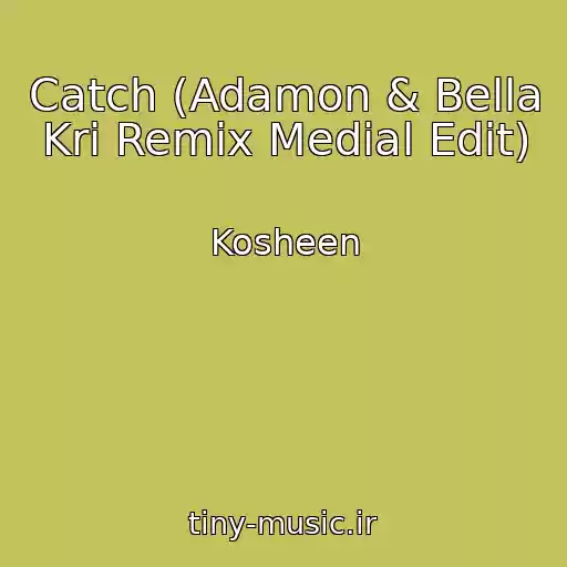 کاور آهنگ Catch (Adamon & Bella Kri Remix Medial Edit) از Kosheen