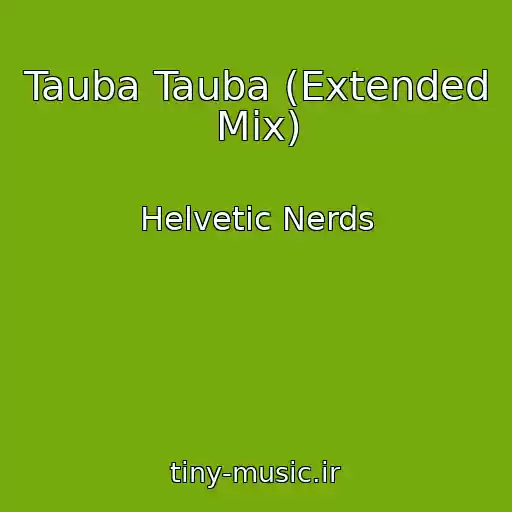 کاور آهنگ Tauba Tauba (Extended Mix) از Helvetic Nerds