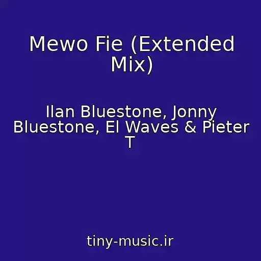کاور آهنگ Mewo Fie (Extended Mix) از Ilan Bluestone, Jonny Bluestone, El Waves & Pieter T