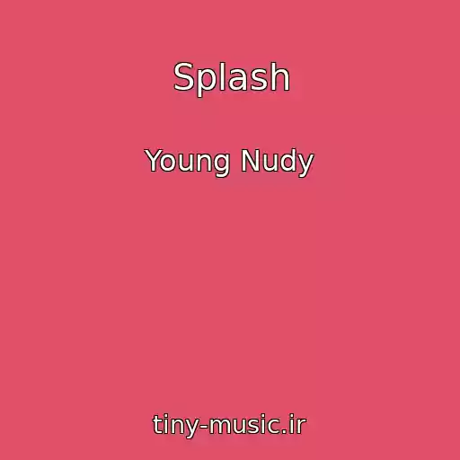 کاور آهنگ Splash از Young Nudy