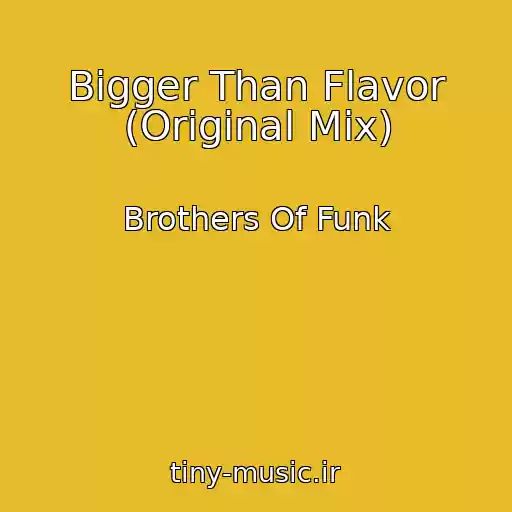 کاور آهنگ Bigger Than Flavor (Original Mix) از Brothers Of Funk