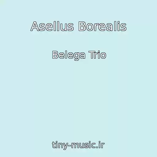 کاور آهنگ Asellus Borealis از Belega Trio
