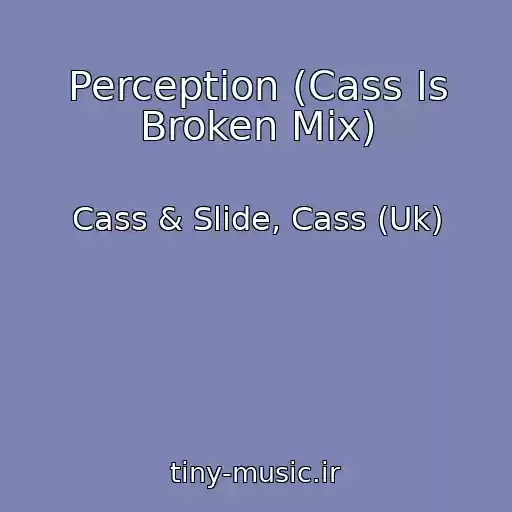 کاور آهنگ Perception (Cass Is Broken Mix) از Cass & Slide, Cass (Uk)