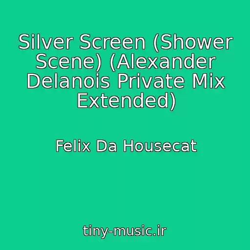 کاور آهنگ Silver Screen (Shower Scene) (Alexander Delanois Private Mix Extended) از Felix Da Housecat