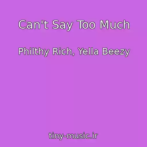 کاور آهنگ Can't Say Too Much از Philthy Rich, Yella Beezy