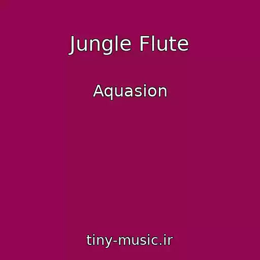 کاور آهنگ Jungle Flute از Aquasion