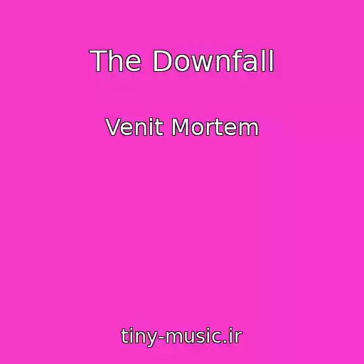 کاور آهنگ The Downfall از Venit Mortem