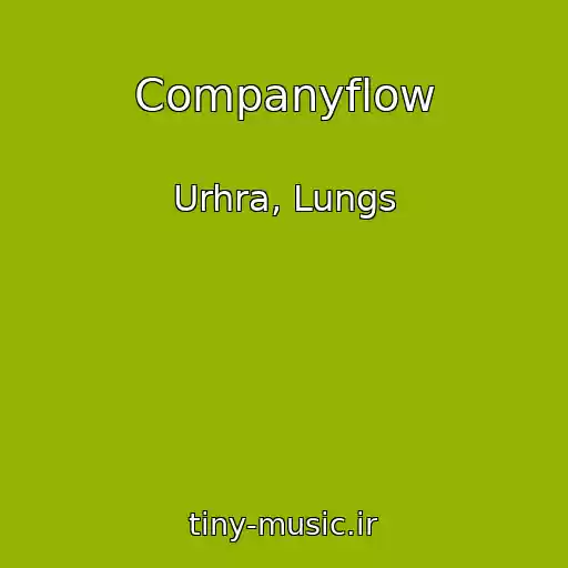 کاور آهنگ Companyflow از Urhra, Lungs