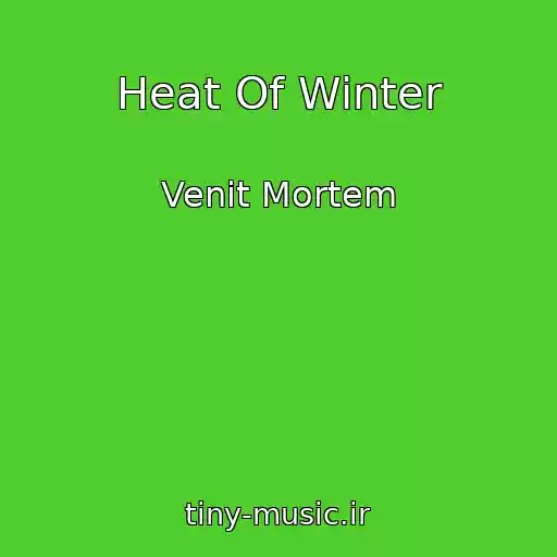 کاور آهنگ Heat Of Winter از Venit Mortem