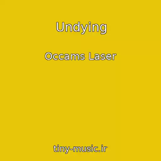 کاور آهنگ Undying از Occams Laser
