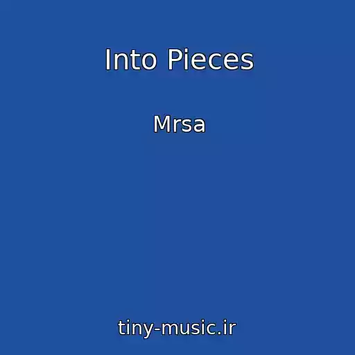 کاور آهنگ Into Pieces از Mrsa