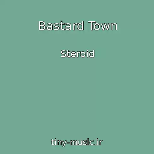 کاور آهنگ Bastard Town از Steroid