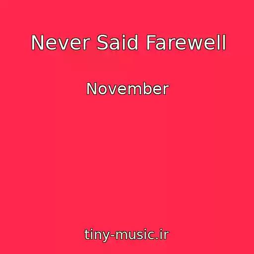کاور آهنگ Never Said Farewell از November