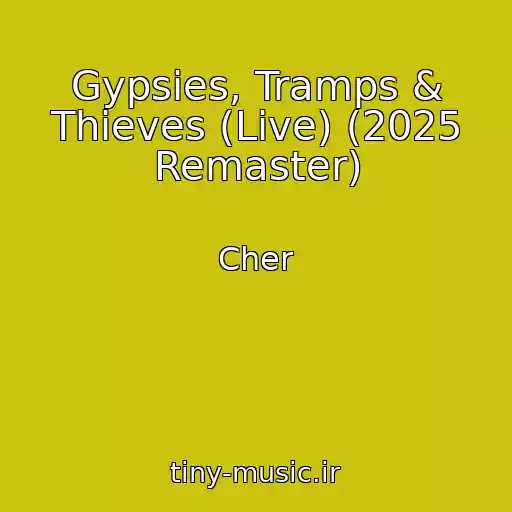 کاور آهنگ Gypsies, Tramps & Thieves (Live) (2025 Remaster) از Cher