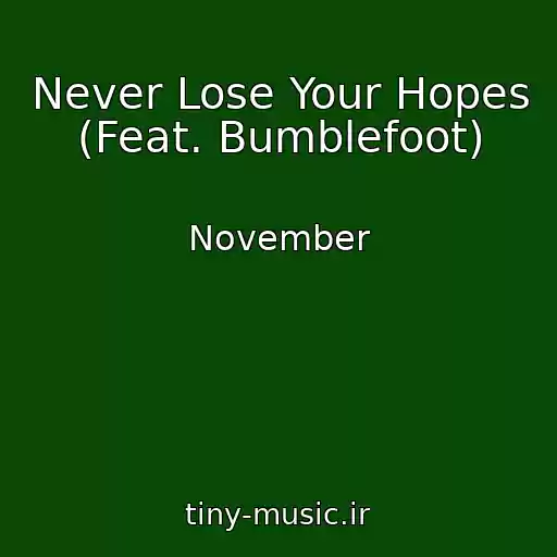 کاور آهنگ Never Lose Your Hopes (Feat. Bumblefoot) از November