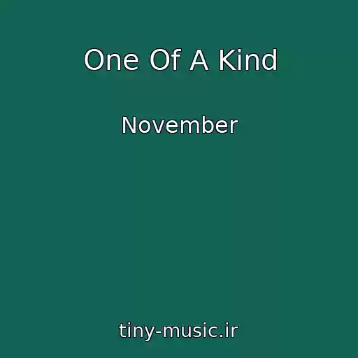 کاور آهنگ One Of A Kind از November