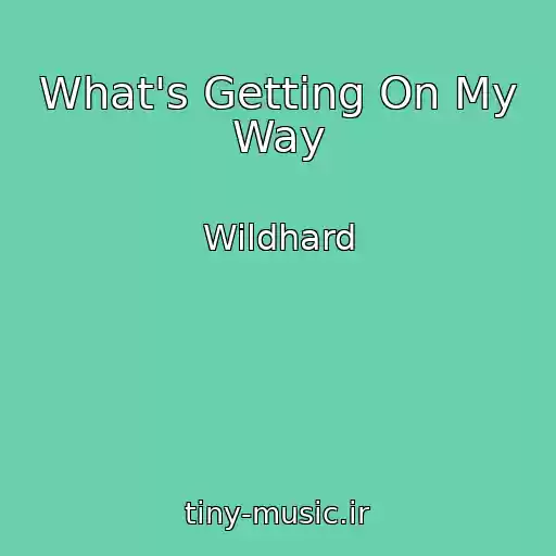 کاور آهنگ What's Getting On My Way از Wildhard