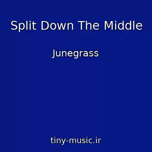 کاور آهنگ Split Down The Middle از Junegrass