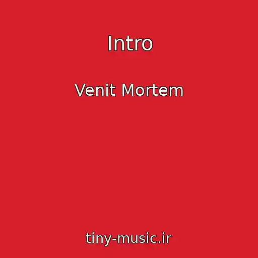 کاور آهنگ Intro از Venit Mortem