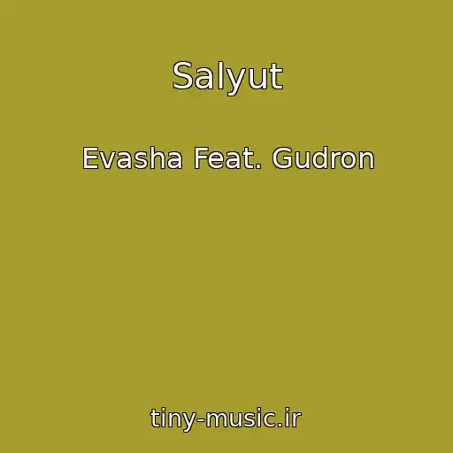 کاور آهنگ Salyut از Evasha Feat. Gudron
