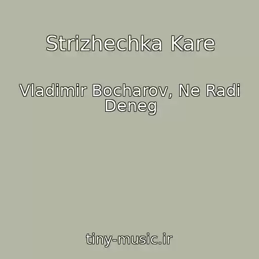 کاور آهنگ Strizhechka Kare از Vladimir Bocharov, Ne Radi Deneg