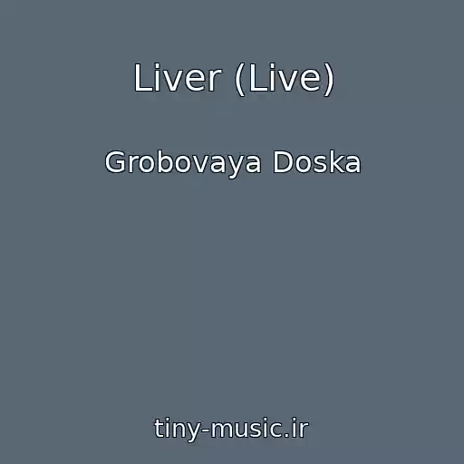 کاور آهنگ Liver (Live) از Grobovaya Doska