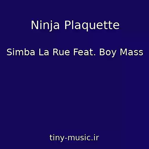 کاور آهنگ Ninja Plaquette از Simba La Rue Feat. Boy Mass